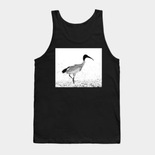 The Ibis! Tank Top